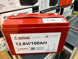 100Ah GoPower LiFePO4 Battery 12.8V Solar Backup