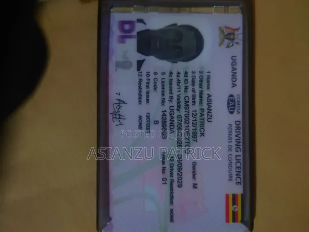 Patrick Asianzu - Driver CV - 1