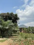 Residential Land for Sale in Matuga-Kibungo, Wakiso - 2