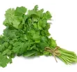 Fresh Coriander and Other Greens - 1