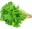 Fresh Coriander and Other Greens - 2