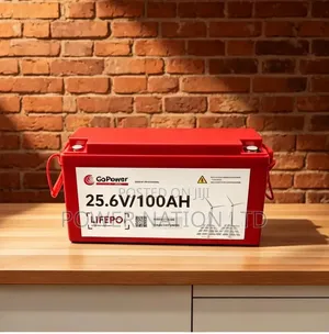 GoPower 25.6V 100Ah Hard Power LiFePO4 Battery