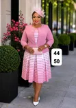 Ladies Office Wear Dresses - 5
