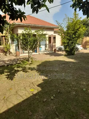 4 Bedroom Bungalow on 55 Decimals Mailo Land in Katabi