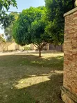 4 Bedroom Bungalow on 55 Decimals Mailo Land in Katabi - 2