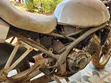 Kawasaki Balius 250cc (2010) - 3