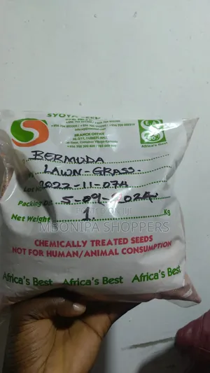 Bermuda Grass Seeds - 1 Kg for Sport Grounds & Gardening