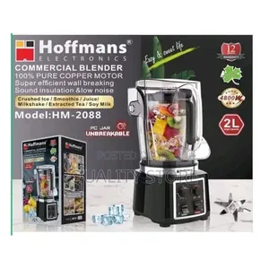 Professional Electric Blender Hoffmans HM-2088