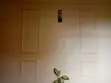 Natural Wood Wall Designs - 1
