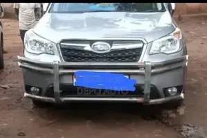 Customized Car Guards for Subaru