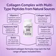 Collagen Complex with Hyaluronic Acid, Biotin, Vit C - 240 Caps - 2
