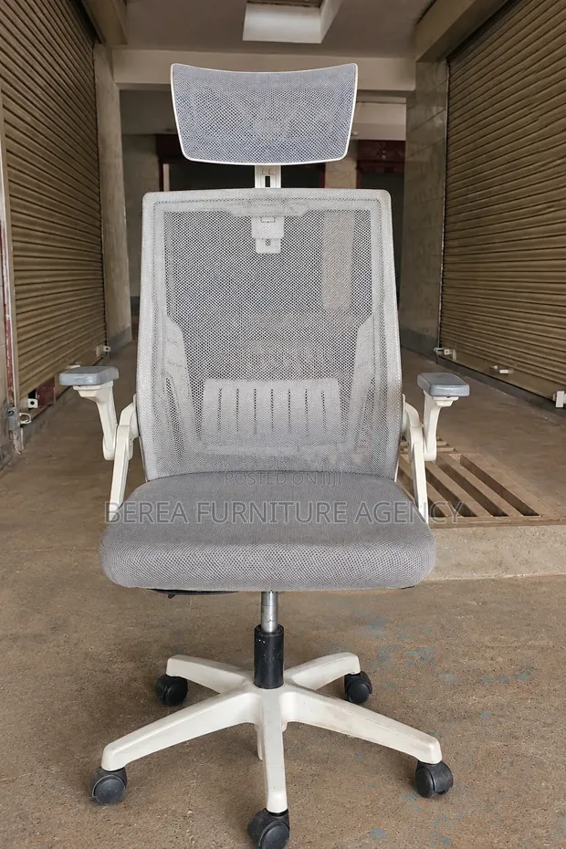 Grey White Adjustable Mesh Office Chair - 1