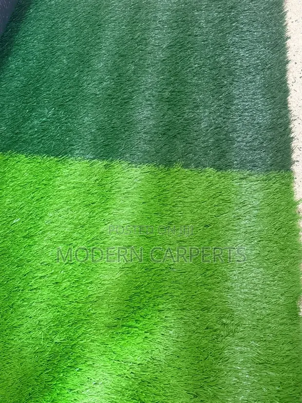 Futssic Artificial Turf - 1