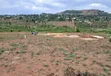 Prime Plots for Sale at Mpigi~Kalagala Show Estate - 2