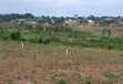 Prime Plots for Sale at Mpigi~Kalagala Show Estate - 5