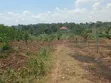 Plot for Sale in Gayaza Kiwenda - 2