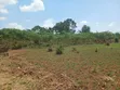 Plot for Sale in Gayaza Kiwenda - 4