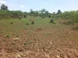 Plot for Sale in Gayaza Kiwenda - 5