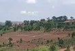 Prime Plots for Sale at Kampiringisa~Muyira Kulya Show Land Estate - 2