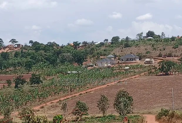 Prime Plots for Sale - Mpigi Kampiringisa~Muyira Town - 1