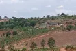 Prime Plots for Sale - Mpigi Kampiringisa~Muyira Town - 1