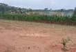 Prime Plots for Sale - Mpigi Kampiringisa~Muyira Town - 4