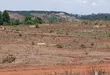 Prime Plots for Sale at Mpigi~Nsamizi Hill View Land Estate - 2