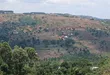 Prime Plots for Sale at Mpigi~Nsamizi Hill View Land Estate - 3