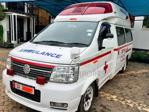 Nissan Type B Ambulance - Unused Since Import