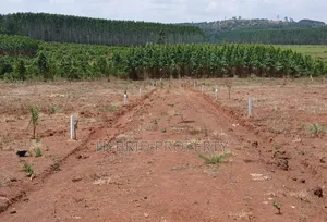 Prime Plots for Sale at Mpigi~Bubezi Divine Land Estate