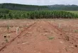Prime Plots for Sale at Mpigi~Bubezi Divine Land Estate - 1
