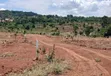 Prime Plots for Sale at Mpigi~Bubezi Divine Land Estate - 2