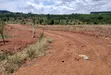 Prime Plots for Sale at Mpigi~Bubezi Divine Land Estate - 3