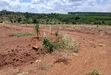 Prime Plots for Sale at Mpigi~Bubezi Divine Land Estate - 4