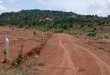 Prime Plots for Sale at Mpigi~Bubezi Divine Land Estate - 5