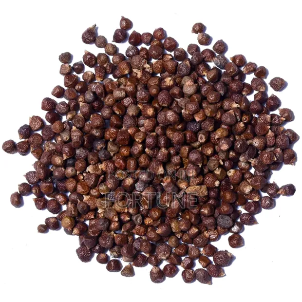 Alligator Seeds Powder (100g) - 1