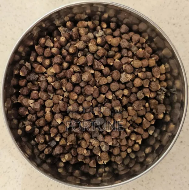 Alligator Pepper Seeds (100g) - 1