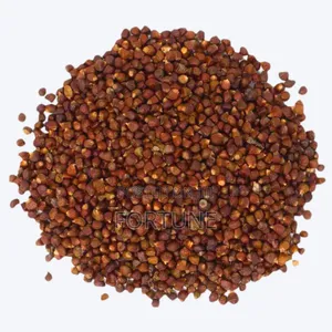 Alligator Seeds (Grains of Paradise)