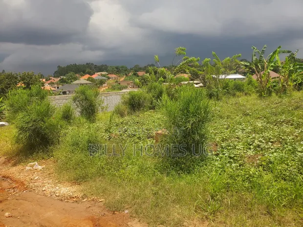 Plot for Sale in Kasangati-Kiti - 1