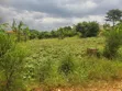 Plot for Sale in Kasangati-Kiti - 3
