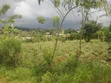 Plot for Sale in Kasangati-Kiti - 5