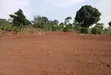 Prime Plots for Sale at Katende~Kavule Nakabiso, Masaka Road - 1