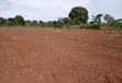Prime Plots for Sale at Katende~Kavule Nakabiso, Masaka Road - 4
