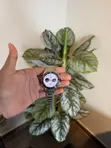 Tag Heuer Connected E4 Smartwatch - 1