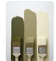 Professional Painting Services - Interior, Exterior, Gypsum - 1