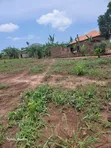 Kakiri Plots for Sale - 3