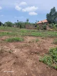 Kakiri Plots for Sale - 4