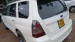 Subaru Forester 2006 White - 5