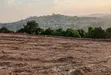 Prime Plots for Sale at Namagoma Hill View Estate, Masaka Road - 5