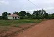 Prime Plots for Sale at Nakirebe~Kagaba Divine Land Estate, Masaka Rd - 3